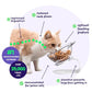 PURRBOWL™ ORTHOPEDIC ANTI-VOMITING CAT FEEDER